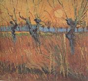 Vincent Van Gogh Willows at Sunset (nn04) painting
